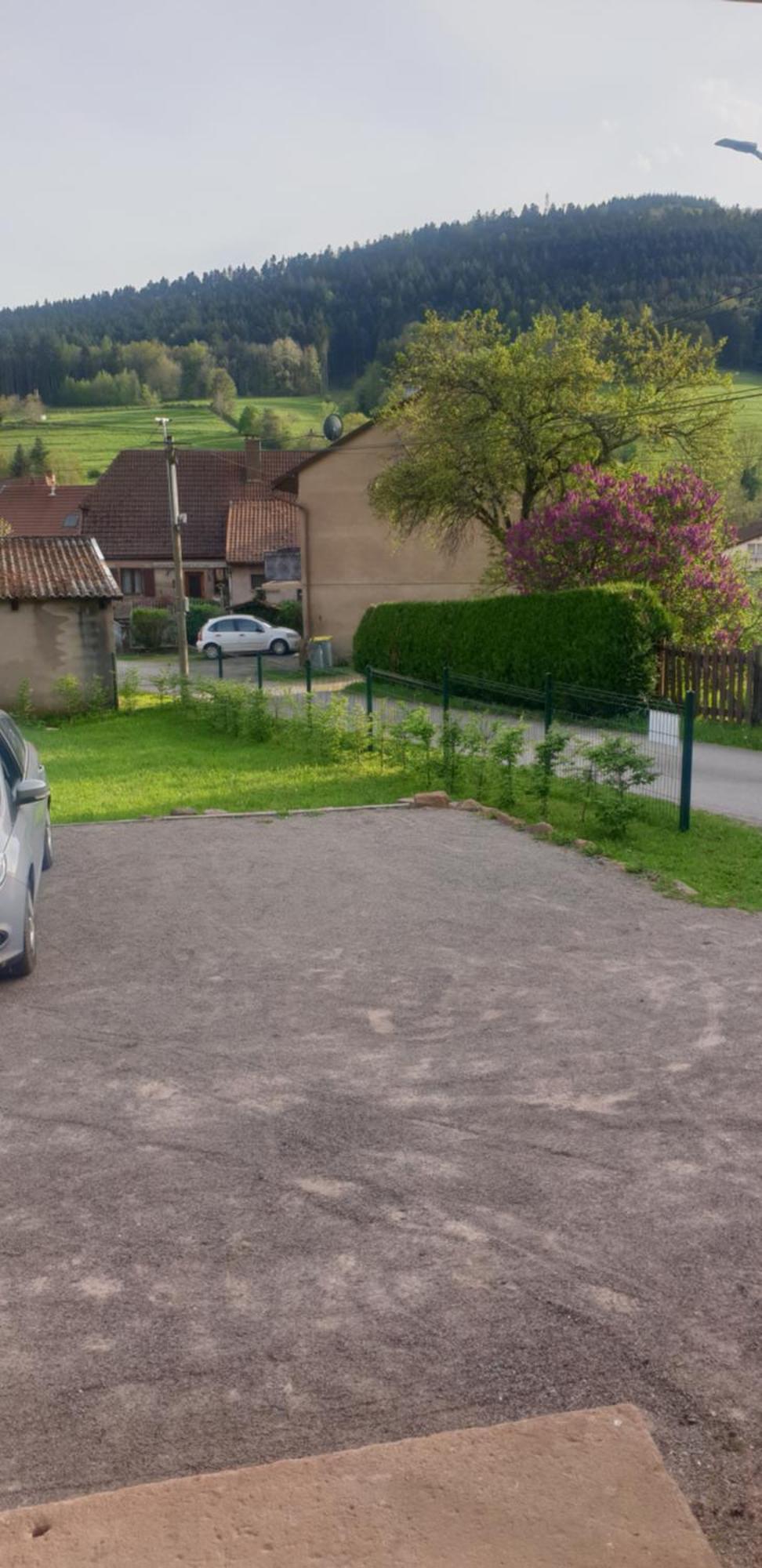 Apartamento La Fermette Vosgienne De La Goutte Steige Exterior foto