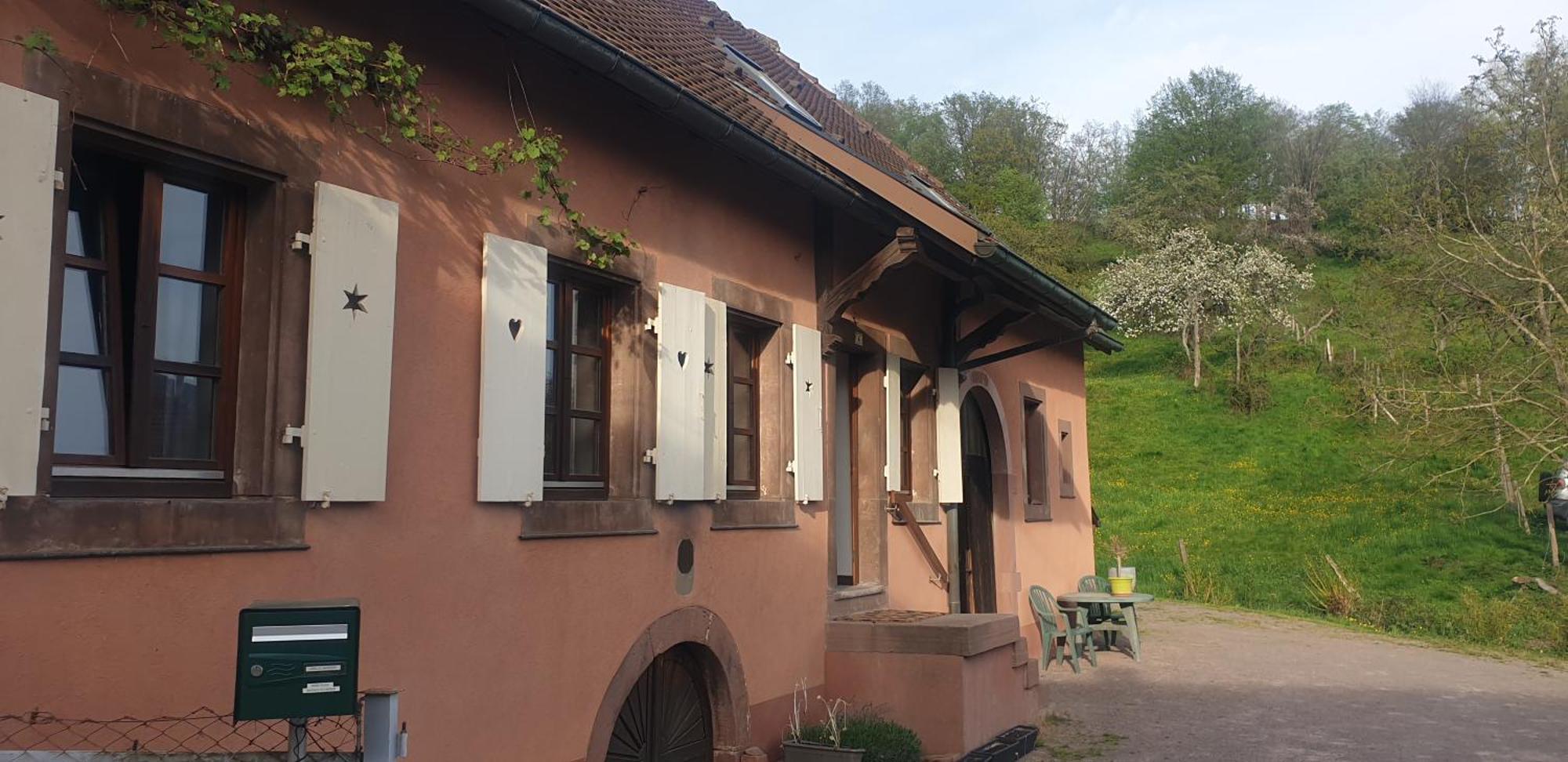 Apartamento La Fermette Vosgienne De La Goutte Steige Exterior foto
