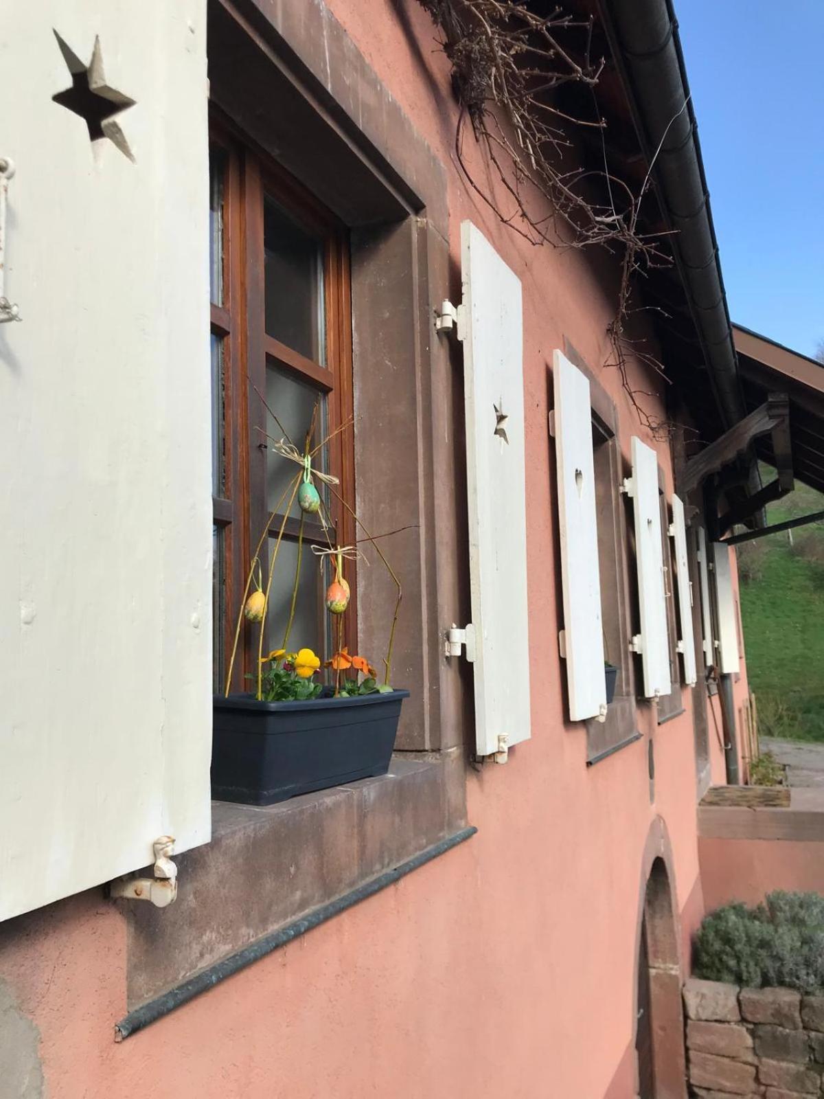 Apartamento La Fermette Vosgienne De La Goutte Steige Exterior foto